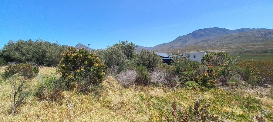 0 Bedroom Property for Sale in Pringle Bay Western Cape